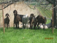 /album/fotogalerie/img-2414-jpg/